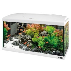 Ferplast Capri 80 LED - Acquario Completo senza Supporto