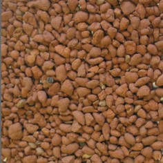 Dupla Ground Nature Basic 5kg - Substrato per il Fondo Terra Alofana 2