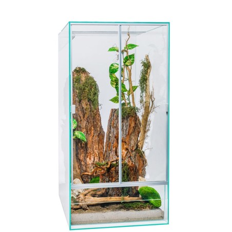 AQL High Terrarium - terrario in vetro a sviluppo verticale AQL High Terrarium - terrario in vetro a sviluppo verticale