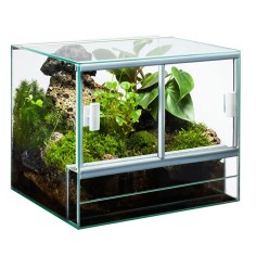 AQL Terrario in Vetro 2