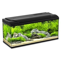 Blu Bios Magis 100 - Acquario 95L cm80x30x45,5h con filtro, illuminazione LED e riscaldatore