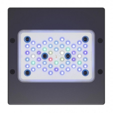 Ecotech Marine Radion XR15w G6 Blue