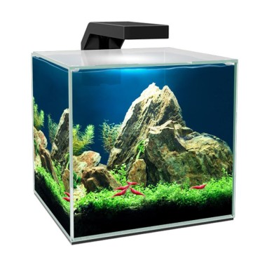 Ciano Cube 10 cm22x22,8x26,2h 10 litri - nano...
