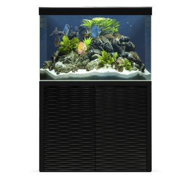 Ciano Emotion One 100 LED Completo di Supporto disponibile in due colori