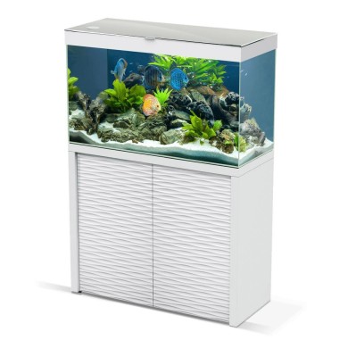 Ciano Emotion One 100 LED Completo di Supporto disponibile in due colori