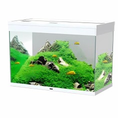 Ciano Emotions Nature Pro 80 LED Senza Supporto