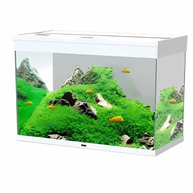 Ciano Emotions Nature Pro 80 LED Senza Supporto