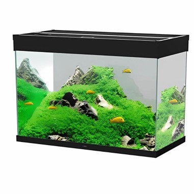Ciano Emotions Nature Pro 80 LED Senza Supporto