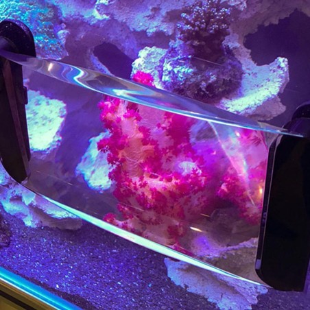 Maxspect Fragnifier 3in1 - lente d'ingrandimento con taleario e spazzole magnetiche incorporati Maxspect Fragnifier 3in1 - lente d'ingrandimento con taleario e spazzole magnetiche incorporati