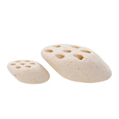 Mountain Tree Fresh Lotus Root Nitro Ring II - supporto biologico di nuova generazione per acqua dolce