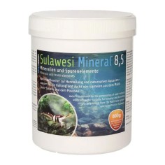 Salty Shrimp - Sulawesi Mineral 8,5