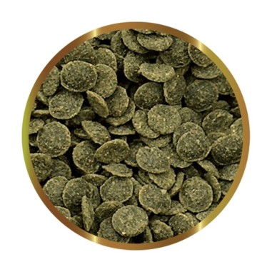 SHG Caridina GreenChips 25gr