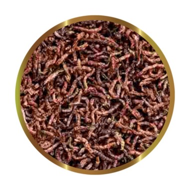 SHG Chironomus - larve di zanzara liofilizzate