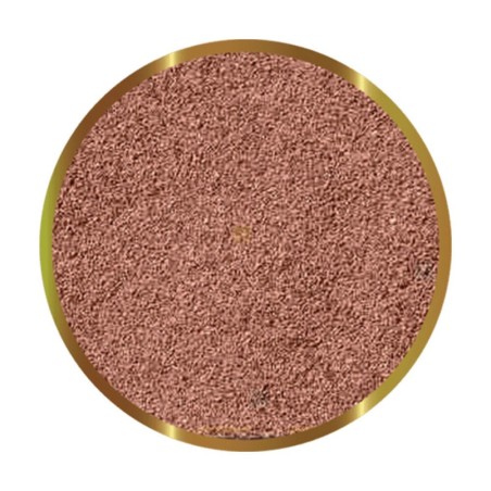 SHG Cisti di Artemia - 10gr SHG Cisti di Artemia - 10gr