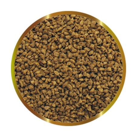 SHG Granulato - mangime base per pesci marini e d'acqua dolce SHG Granulato - mangime base per pesci marini e d'acqua dolce