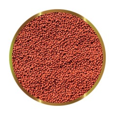 SHG Micro HI Red 2