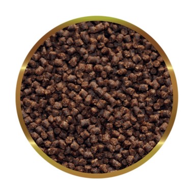 SHG Oranda Granuli 180gr