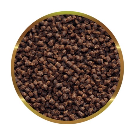 SHG Oranda Granuli 180gr