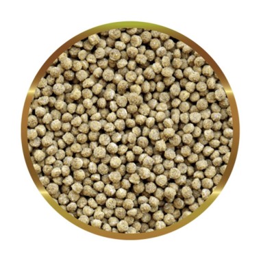 SHG Pesci Rossi Granulato 120gr