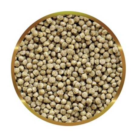 SHG Pesci Rossi Granulato 120gr