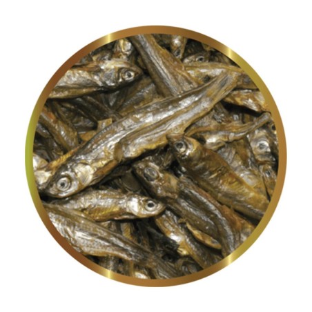 SHG Pesciolini 400gr - alimento per Tartarughe e grossi pesci d'acqua dolce SHG Pesciolini 400gr - alimento per Tartarughe e grossi pesci d'acqua dolce