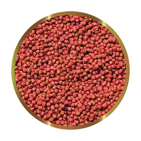 SHG Premium HI RED - mangime in granuli per accentuare la colorazione SHG Premium HI RED - mangime in granuli per accentuare la colorazione