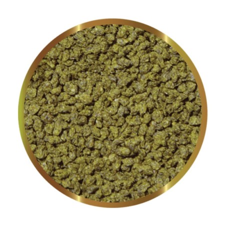 SHG Spirulina in Granuli - mangime completo per pesci ornamentali SHG Spirulina in Granuli - mangime completo per pesci ornamentali