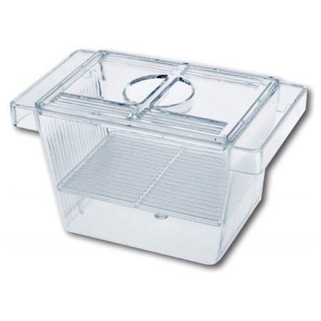 Wave Breeding Box Small Sala Parto Wave Breeding Box Small Sala Parto