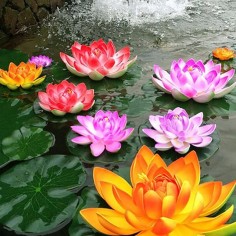 Velda Floating Lotus Foam Yellow Ø10cm - decorazione sintetica galleggiante per laghetti 2