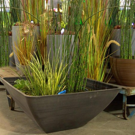 Velda Fountain Pond Square cm75x75x35 - minilaghetto decorativo con fontana Velda Fountain Pond Square cm75x75x35 - minilaghetto decorativo con fontana