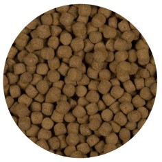 Velda Sanikoi Excellent All-Round - mangime premium in pellet per Koi e pesci pregiati da laghetto 2