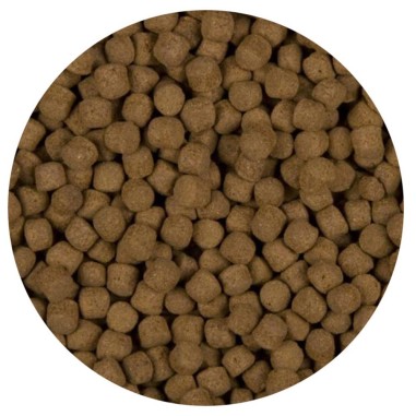 Velda Sanikoi Excellent All-Round - mangime premium in pellet per Koi e pesci pregiati da laghetto