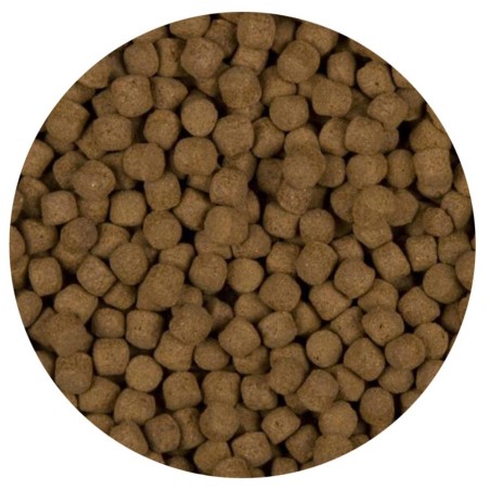Velda Sanikoi Excellent All-Round - mangime premium in pellet per Koi e pesci pregiati da laghetto