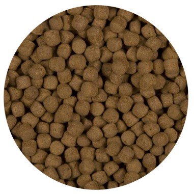 Velda Sanikoi Excellent All-Round - mangime premium in pellet per Koi e pesci pregiati da laghetto