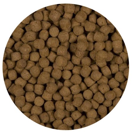Velda Sanikoi Excellent All-Round - mangime premium in pellet per Koi e pesci pregiati da laghetto Velda Sanikoi Excellent All-Round - mangime premium in pellet per Koi e pesci pregiati da laghetto