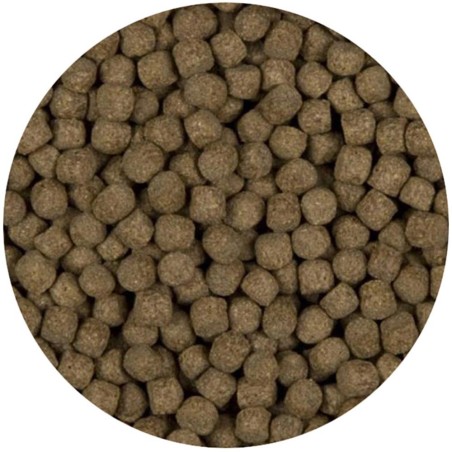 Velda Sanikoi Staple Prime 6mm - mangime Premium in pellet per carpe Koi Velda Sanikoi Staple Prime 6mm - mangime Premium in pellet per carpe Koi