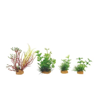 Zolux Decor Plant Box 4pz kit 2 - mix di 4 piante artificiali