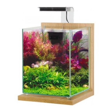 Zolux Jalaya 2 10L - acquario cm22,4x23,3x28,5h completo di filtro interno e plafoniera LED