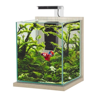 Zolux Jalaya XL 18,7L - acquario cm28,2x27,4x34,8h completo di filtro interno e plafoniera LED