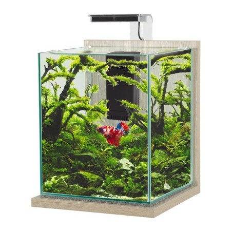 Zolux Jalaya XL 18,7L - acquario cm28,2x27,4x34,8h completo di filtro interno e plafoniera LED