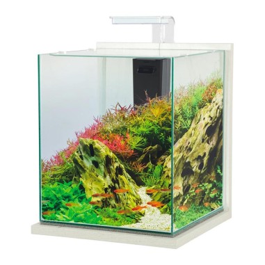 Zolux Jalaya XXL 31,5L - acquario cm30x30x35h completo di filtro interno e plafoniera LED