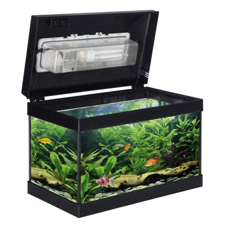 MTB Babol Ledline - Acquario 21L cm43x25x32h MTB Babol Ledline - Acquario 21L cm43x25x32h
