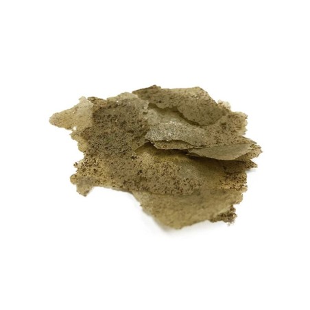 Vitalis Algae Flakes 40g - fioccato a base di alghe per pesci marini erbivori Vitalis Algae Flakes 40g - fioccato a base di alghe per pesci marini erbivori