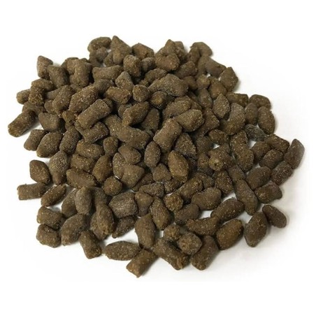 Vitalis Anemone Pellets 60g - mangime complementare per Anemoni ed LPS di grandi dimensioni Vitalis Anemone Pellets 60g - mangime complementare per Anemoni ed LPS di grandi dimensioni
