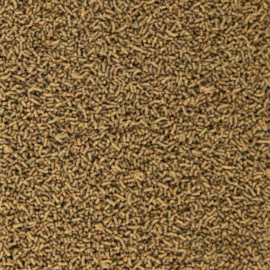 Vitalis Tropical Pellets XS 1mm 70gr - mangime in pellet per pesci d'acqua dolce