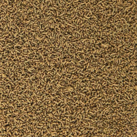 Vitalis Tropical Pellets XS 1mm 70gr - mangime in pellet per pesci d'acqua dolce Vitalis Tropical Pellets XS 1mm 70gr - mangime in pellet per pesci d'acqua dolce