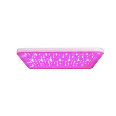 Zetlight Algae Light E200 - plafoniera LED 55w Wi-Fi per refugium