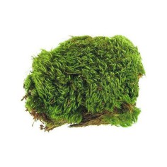 Zoomed Frog Moss 1,3 litri 2