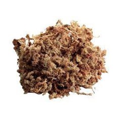 Zoomed New Zealand Sphagnum Moss 1,3 litri 2
