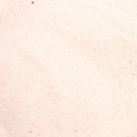 Zoomed Repti Sand 4,5 kg - substrato naturale per rettili di habitat desertico